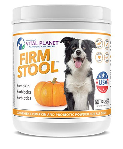 Vital Planet  Firm Stool  Eliminates Dog Diarrhea and Gas  Pumpkin Probiotics and Prebiotics for Healthy Digestion Immune Support and Reqularity  111 Grams 30 Servings