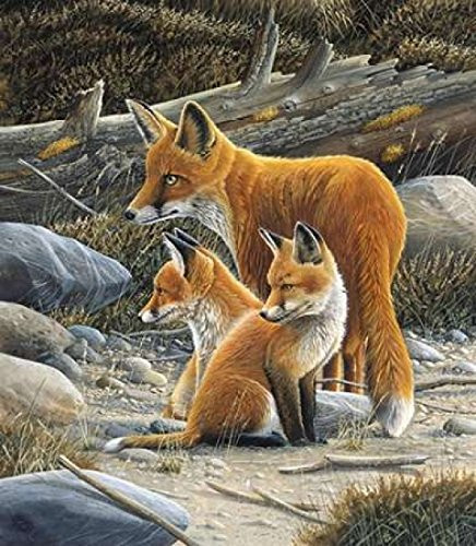 Posterazzi Fox family Poster Print by Jan Weenink 24 x 24