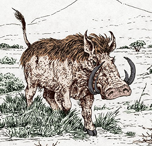 Genus Notochoerus Suidae Family Poster Print by Science Source 24 x 18