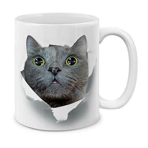 MUGBREW Big Eyes Curious Gray Cat Ceramic Coffee Mug Tea Cup 11 OZ