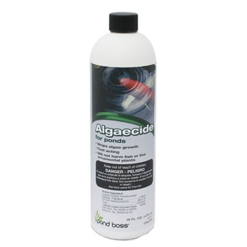 pond boss Algaecide, 32-Ounce