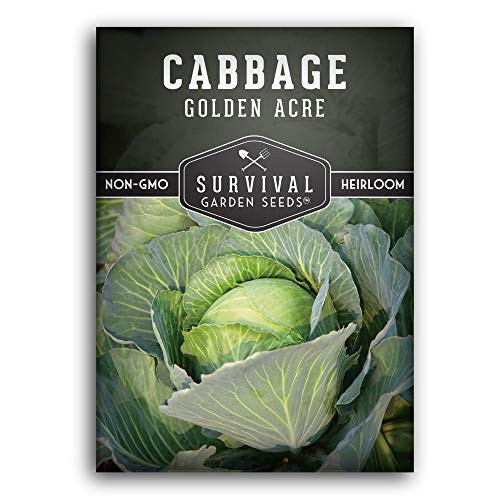 Survival Garden Seeds  Golden Acres Cabbage Seed for Planting  Packet with Instructions to Plant and Grow Your Home Vegetable Garden  NonGMO Heirloom Variety