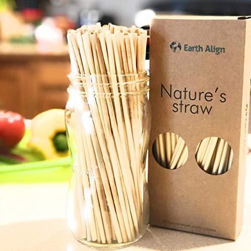 Compostable Drinking Straws  8.5 Inches Beverage All-Natural Wheat Straws  Biodegradable Non-Polluting Straws  Eco Bulk of 100 Long Straws  Safe & Non-Dye Natures Straws by Earth Align