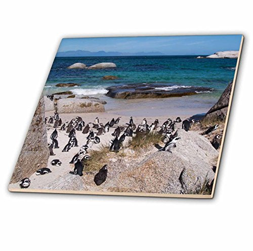 3dRose South Africa Ceramic Tile, 4"