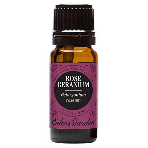 Edens Garden Rose Geranium Essential Oil 100 Pure Therapeutic Grade Skin Care Stress 10 ml Edens Garden Rose Geranium Essential Oil 100 Pure Therapeutic Grade Skin Care Stress 10 ml