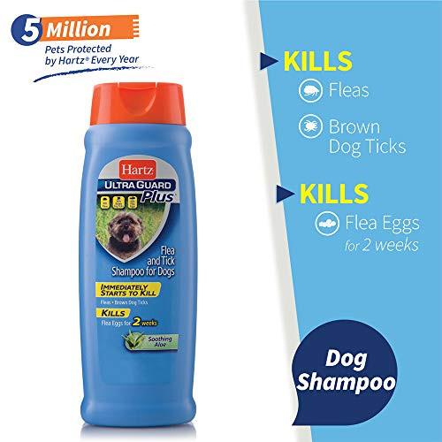 Hartz UltraGuard Plus Flea  Tick Shampoo for Dogs with Soothing Aloe 18fl oz