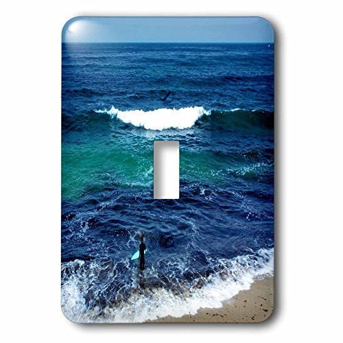 3dRose lsp_210878_1 Surfer In The Hawaiian Waves - Single Toggle Switch
