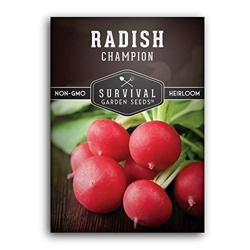 Survival Garden Seeds Champion Radish Seed for Planting Packet with Instructions to Plant and Grow Your Home Vegetable Garden NonGMO Heirloom Variety Survival Garden Seeds Champion Radish Seed for Planting Packet with Instructions to Plant and Grow Your Home Vegetable Garden NonGMO Heirloom Variety