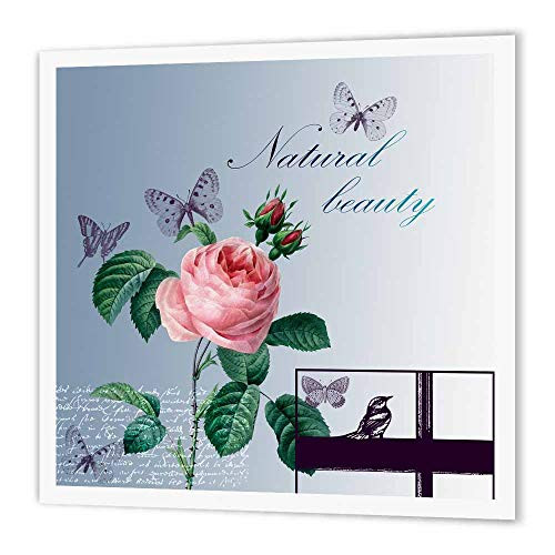 3dRose ht_79157_3 Natural Beauty Butterflies, Roses and Bird-Iron on Heat Transfer for Material, 10 by 10-Inch, White