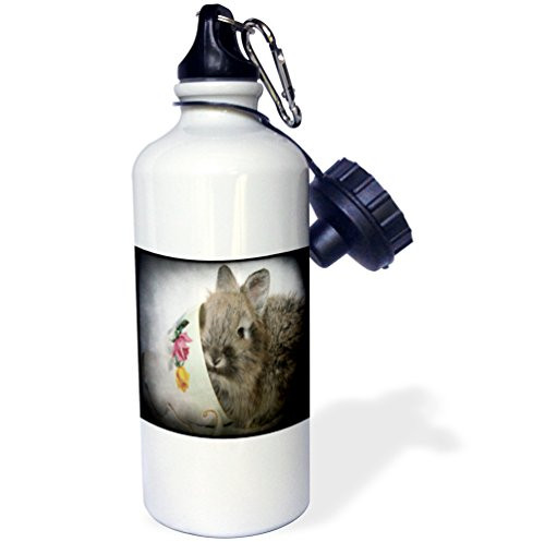 3dRose wb_6418_1 Lionhead Bunny and Wine Glass Sports Water Bottle, 21 oz, White 3dRose wb_6418_1 Lionhead Bunny and Wine Glass Sports Water Bottle, 21 oz, White