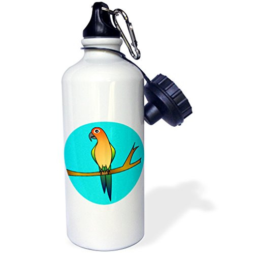 3dRose wb_13776_1 Cute Sun Conure Parrot Light Blue Background - Sports Water Bottle, 21 oz, White 3dRose wb_13776_1 Cute Sun Conure Parrot Light Blue Background - Sports Water Bottle, 21 oz, White