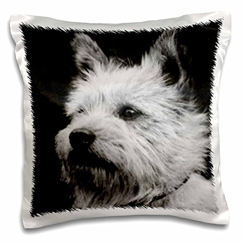 3D Rose Vintage Magic Lantern Slide Cairn Terrier Dog Edwardian Era Pillow Case 16  x 16