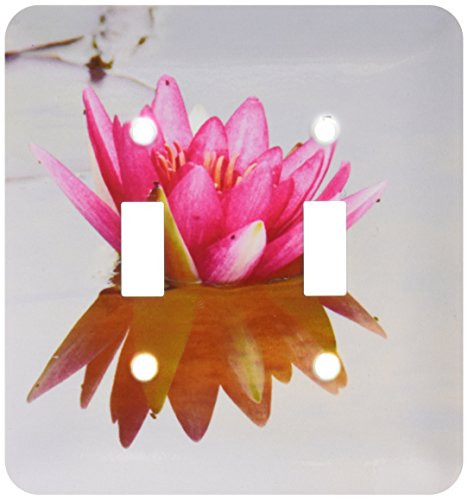 3dRose lsp_192501_2 Lotus Flower In The Water Art Toggle Switch