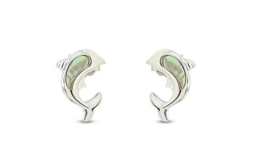 AFFY 14k White Gold Over Sterling Silver Natural Abalone Dolphin Stud Earrings Jewelry Gift For Womens with Push backs