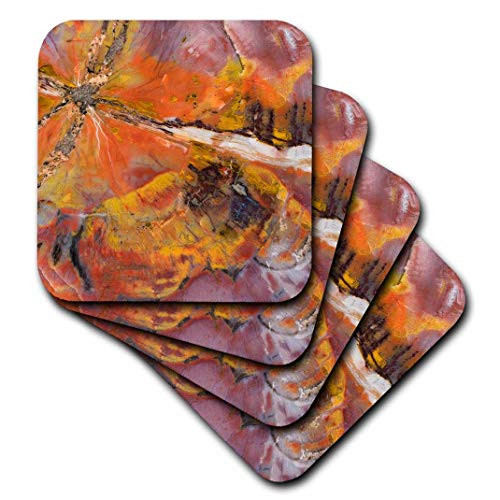 3dRose CST_87398_3 USA, Arizona. Abstract of Petrified Wood-Us02 Bja0269-Jaynes Gallery-Ceramic Tile Coasters, Set of 4
