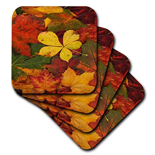 3dRose cst_36780_3 Rustic Autumn Leaves-Ceramic Tile Coasters, Set of 4