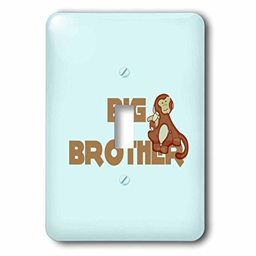 3dRose lsp563121 Little Monkey Big Brother Art  Kids and Families Single Toggle Switch