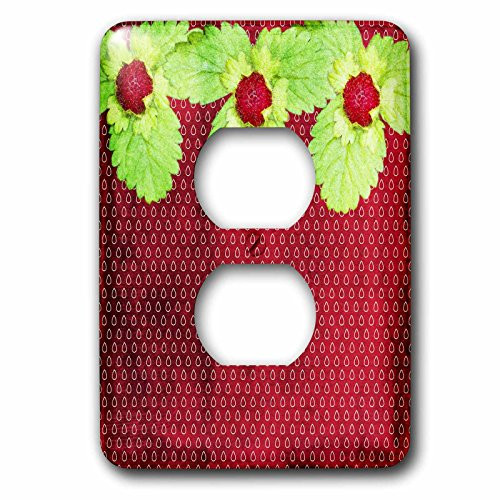 3dRose LSP_252364_6 Strawberries Illustration Vintage Shabby-Chic Floral Pattern Dots Plug Outlet Cover, Mixed