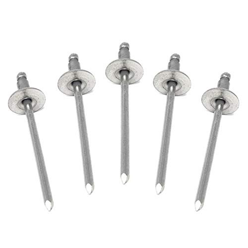 Metal Magery 100 Large Flange Stainless Steel Open End Pop Rivets 1/8 x 1/8 0 063 125 Inch Grip Range QTY 100 Metal Magery 100 Large Flange Stainless Steel Open End Pop Rivets 1/8 x 1/8 0 063 125 Inch Grip Range QTY 100