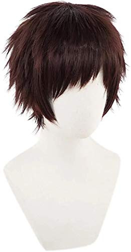 PWEINCY Overhaul Cosplay Wig Bnha Kai Chisaki Mha My Boko No Hero Academia Roleplaying