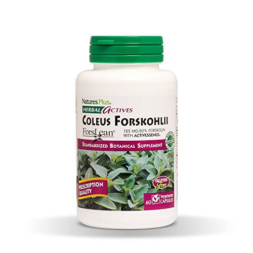 NaturesPlus Herbal Actives Coleus Forskohlii 125 mg 60 Vegan Capsules Heart Support Supplement Supports Healthy Metabolism Vegetarian GlutenFree 60 Servings NaturesPlus Herbal Actives Coleus Forskohlii 125 mg 60 Vegan Capsules Heart Support Supplement Supports Healthy Metabolism Vegetarian GlutenFree 60 Servings