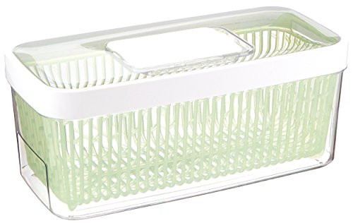 OXO GreenSaver Produce Keeper  Large  Green