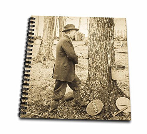 3D Rose Keystone Magic Lantern Slide Antique Tapping Maple Syrup Vermont Drawing Book