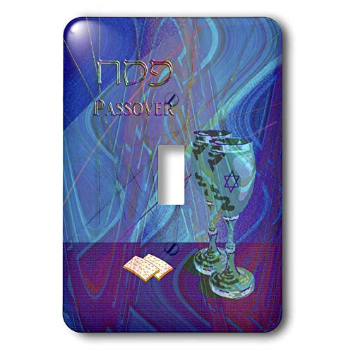 3dRose lsp492151 Passover Cups And Matzah Cracker Toggle Switch