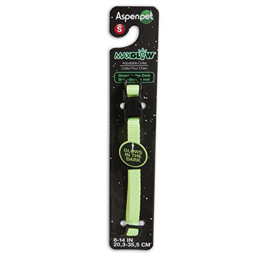 Petmate Glowin Dark Adjustable Collar 3/8  x 814  Light Green