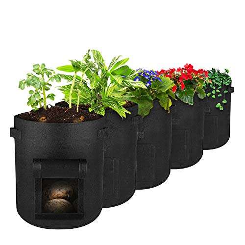 Plant Grow BagsFamistar Potato Planter Bags 10 Gallon 5 Pack Planting Fabric Pots Heavy Duty Fabric Pots with Handles  Garden Bags for Vegetables Tomatoes Carrots Onions Plant Grow BagsFamistar Potato Planter Bags 10 Gallon 5 Pack Planting Fabric Pots Heavy Duty Fabric Pots with Handles  Garden Bags for Vegetables Tomatoes Carrots Onions