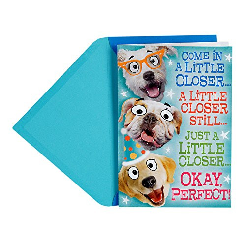 Hallmark Funny Father s Day Pop Up Card from All Dog Group Hug