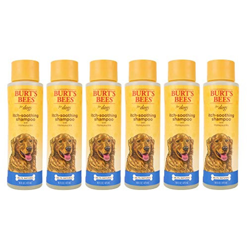 Burt s Bees for Pets Dogs Natural Itch Soothing Shampoo with Honeysuckle  AntiItch Dog Shampoo 16 Ounces  6 Pack FF7266CP6
