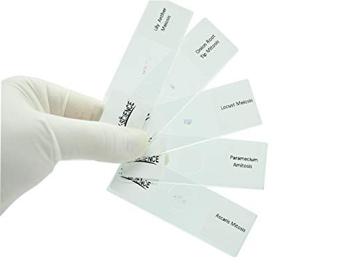 Prepared Animal Plant Cell Mitosis Meiosis Amitosis Microscope Slides Set 5pcs Specimens to Display with Students in Biology Class Prepared Animal Plant Cell Mitosis Meiosis Amitosis Microscope Slides Set 5pcs Specimens to Display with Students in Biology Class