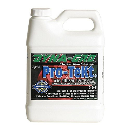 Brussel s Bonsai 32oz ProTeKt Nutritional Suppliment for Plants