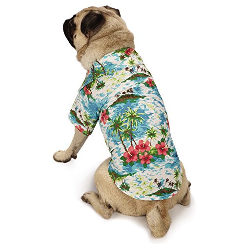 Casual Canine Hawaiian Breeze Camp Shirt for Dogs 12  Small