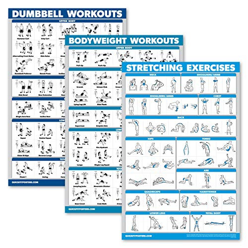 QuickFit 3 Pack  Dumbbell Workouts  Bodyweight Exercises  Stretching Routine Poster Set  Set of 3 Workout Charts Laminated 18  x 27