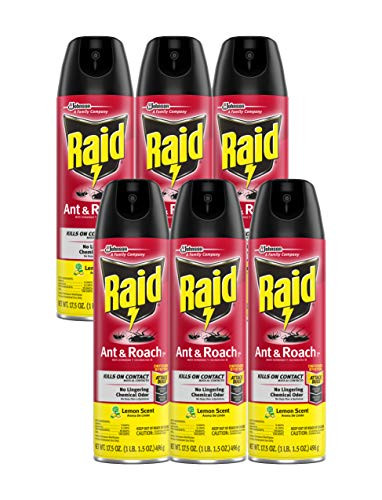 Raid Ant  Roach Killer Lemon Scent 17 5 OZ 6