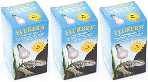 3 Pack Fluker s Neodymium Daylight Bulbs for Reptiles 75 watt