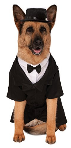 Rubie s Big Dog Dapper Dog Costume
