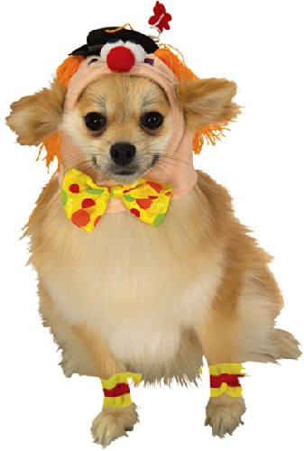 Rubie s Pet Costume Small Clown Headpiece with Cuffs