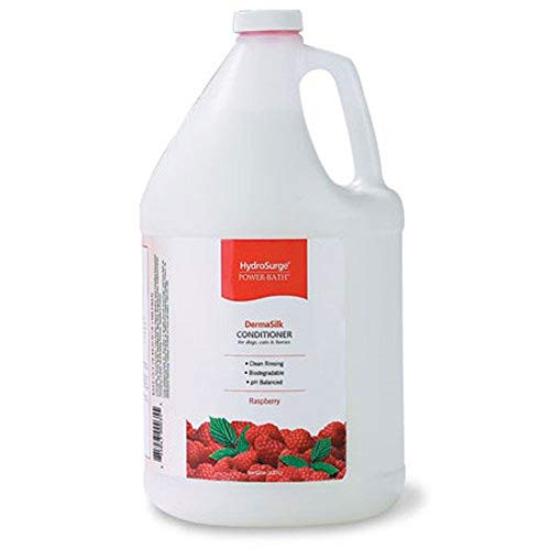 Hydrosurge Raspberry Dermasilk Cond Gallon