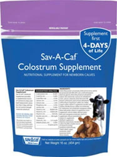 Milk Products SavACAF 16 oz Colostrum Supplement