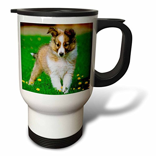 3dRose Sheltie Travel Mug 14Ounce