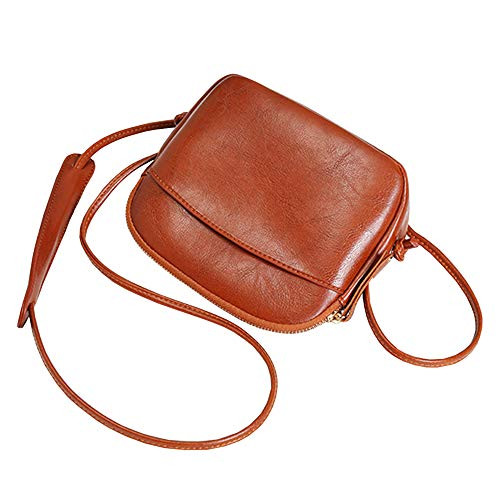 Small Crossbody Bags Shoulder Bag for Women Stylish Ladies Messenger Bags Purse and Fashion Handbags brown