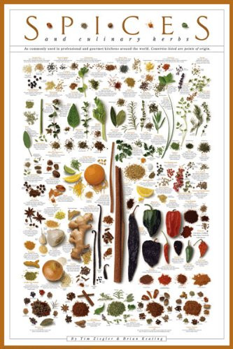 Spices and Culinary Herbs Gourmet Kitchen Cooking Print Poster 24x36