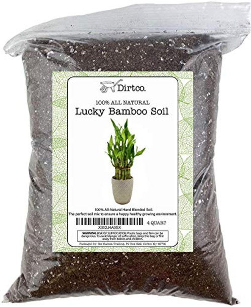 Soil Mixture for Lucky Bamboo Plants Specialized Soil Mix for Lucky Bamboo Plants Plant or RePot Lucky Bamboo 4qt