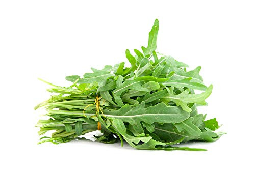 Roquette Arugula Lettuce Seeds1000 Premium Heirloom Seeds Fantastic Addition to Your Home Garden Isla s Garden Seeds Non Gmp 85 Germination Rates Highest Quality Seed Roquette Arugula Lettuce Seeds1000 Premium Heirloom Seeds Fantastic Addition to Your Home Garden Isla s Garden Seeds Non Gmp 85 Germination Rates Highest Quality Seed