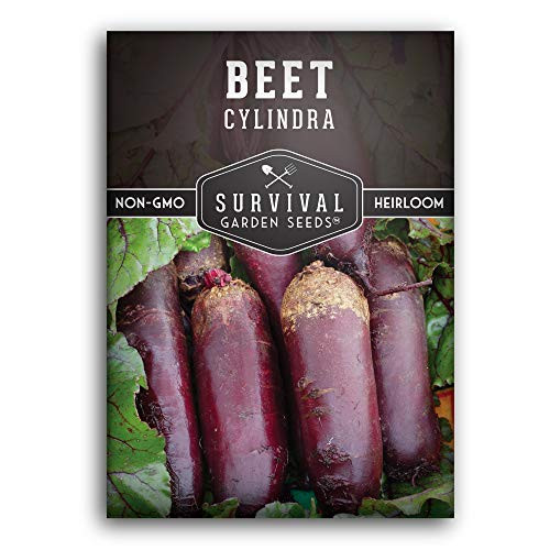 Survival Garden Seeds Cylindra Beet Seed for Planting Packet with Instructions to Plant and Grow Your Home Vegetable Garden NonGMO Heirloom Variety Survival Garden Seeds Cylindra Beet Seed for Planting Packet with Instructions to Plant and Grow Your Home Vegetable Garden NonGMO Heirloom Variety