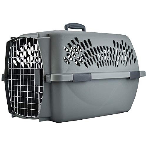 Petmate Aspen Pet Pet Porter Kennel