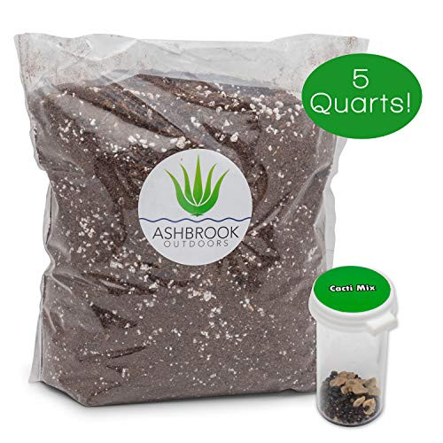 Succulent & Cacti Garden Starter Soil Kit | 5 Quarts of Premium Planting Soil with Nutrients | Beautiful Variety of Cactus Seeds & Succulent Seeds in Protective Vials | Great Gift Succulent & Cacti Garden Starter Soil Kit | 5 Quarts of Premium Planting Soil with Nutrients | Beautiful Variety of Cactus Seeds & Succulent Seeds in Protective Vials | Great Gift